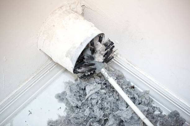 Best Home Air Vent Cleaning  in Bloomingdale, IL